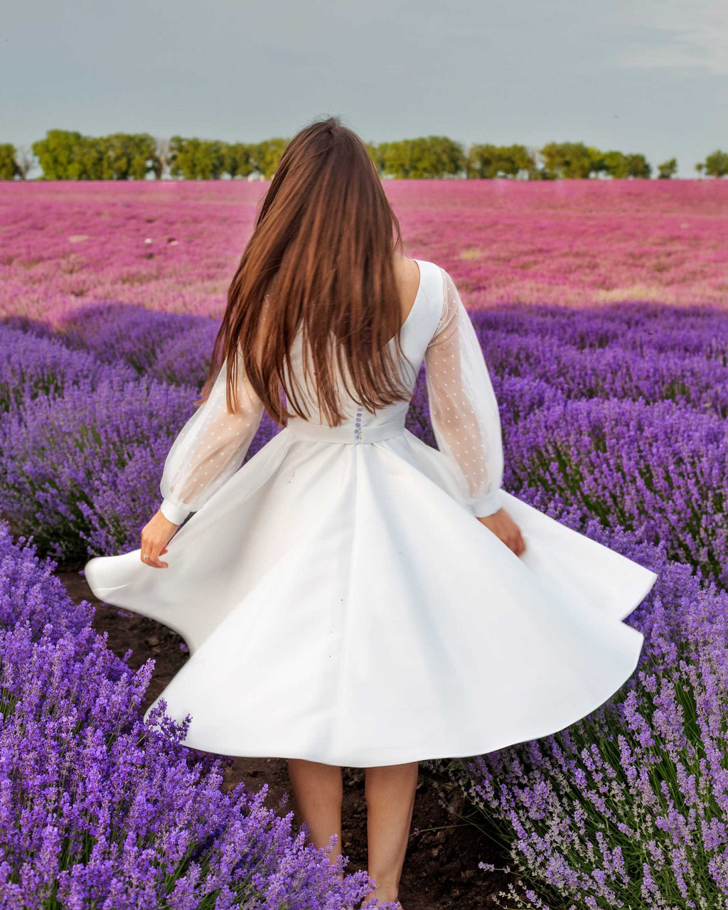 Rochie cununie civila midi din satin regal cu mâneci lungi și cordon detașabil în câmp de lavandă.